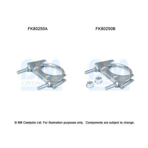 Fk80250 catalysts - fk80250, bm